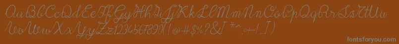 フォントLace1.0 – 茶色の背景に灰色の文字