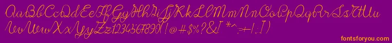 Lace1.0 Font – Orange Fonts on Purple Background