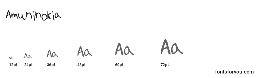Размеры шрифта Amuninokia