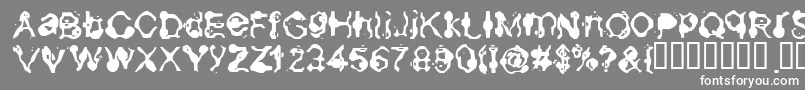 Aneurysm-Schriftart – Weiße Schriften auf grauem Hintergrund