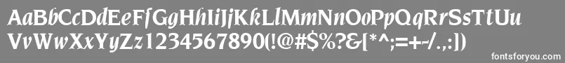 TridentsskBoldItalic Font – White Fonts on Gray Background