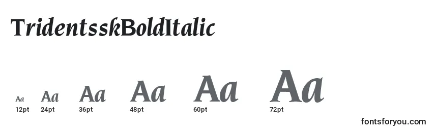 Размеры шрифта TridentsskBoldItalic