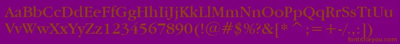 Garamdn Font – Brown Fonts on Purple Background