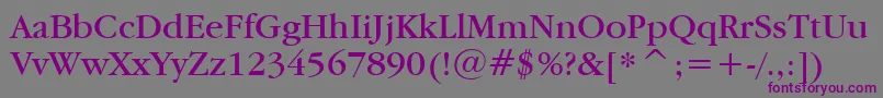 Garamdn Font – Purple Fonts on Gray Background