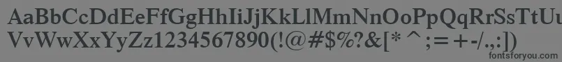Czcionka Dutch801SemiBoldBt – czarne czcionki na szarym tle