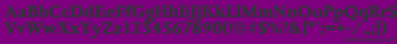 PalermoserialXboldRegular-Schriftart – Schwarze Schriften auf violettem Hintergrund