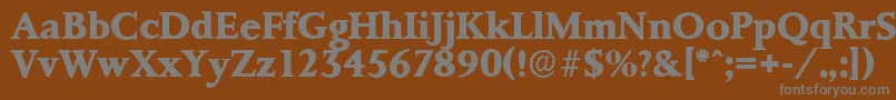 PalermoserialXboldRegular Font – Gray Fonts on Brown Background