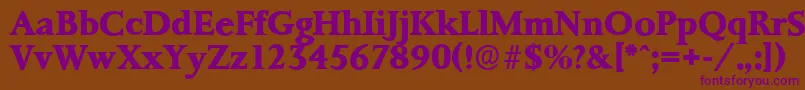 PalermoserialXboldRegular Font – Purple Fonts on Brown Background
