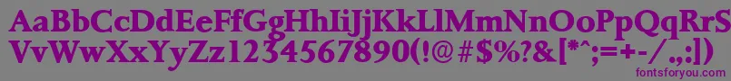 PalermoserialXboldRegular Font – Purple Fonts on Gray Background