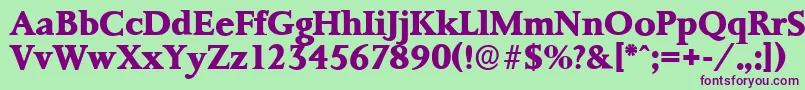 PalermoserialXboldRegular Font – Purple Fonts on Green Background