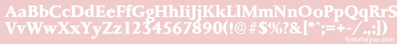 PalermoserialXboldRegular-Schriftart – Weiße Schriften auf rosa Hintergrund