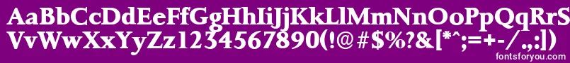 PalermoserialXboldRegular Font – White Fonts on Purple Background
