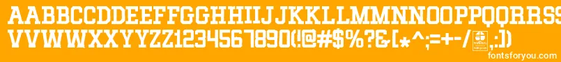 MixivaDustyDemo Font – White Fonts on Orange Background