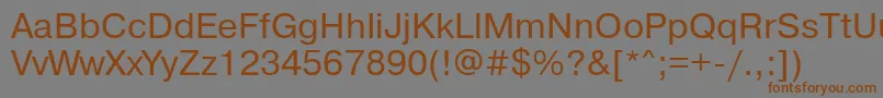 フォントPragmaticamgttNormal – 茶色の文字が灰色の背景にあります。