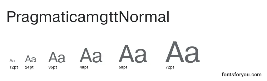 Размеры шрифта PragmaticamgttNormal