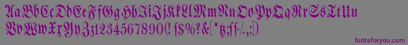 Spacewinningfrax Font – Purple Fonts on Gray Background