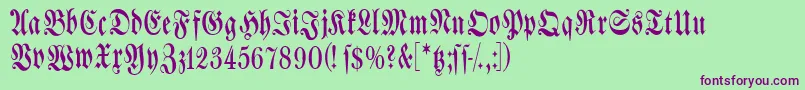 Spacewinningfrax Font – Purple Fonts on Green Background