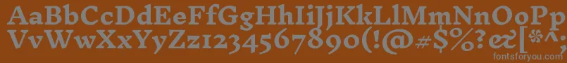 InknutantiquaBold-Schriftart – Graue Schriften auf braunem Hintergrund