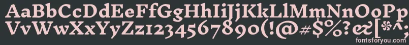 InknutantiquaBold Font – Pink Fonts on Black Background