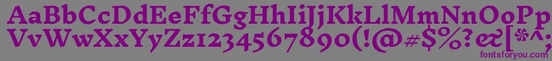 InknutantiquaBold-Schriftart – Violette Schriften auf grauem Hintergrund