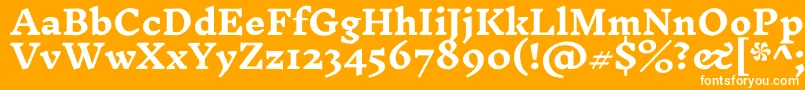 Шрифт InknutantiquaBold – белые шрифты на оранжевом фоне