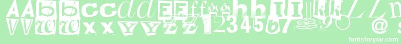 RandomHouse Font – White Fonts on Green Background