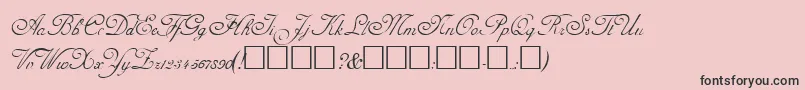 AdineKirnberg-Schriftart – Schwarze Schriften auf rosa Hintergrund