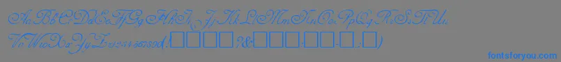 AdineKirnberg-fontti – siniset fontit harmaalla taustalla