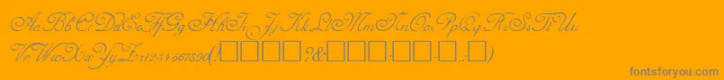 More about AdineKirnberg Font AdineKirnberg Font – Gray Fonts on Orange Background