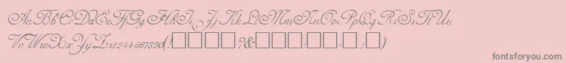 AdineKirnberg-Schriftart – Graue Schriften auf rosa Hintergrund