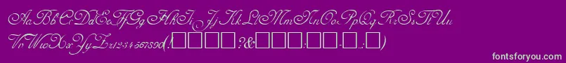 AdineKirnberg Font – Green Fonts on Purple Background