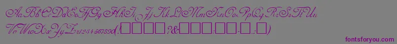 AdineKirnberg-Schriftart – Violette Schriften auf grauem Hintergrund