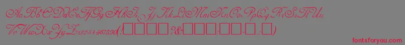 Шрифт AdineKirnberg – красные шрифты на сером фоне