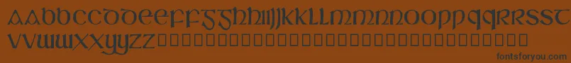 SlГЎine Font – Black Fonts on Brown Background