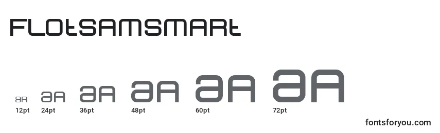 Размеры шрифта FlotsamSmart