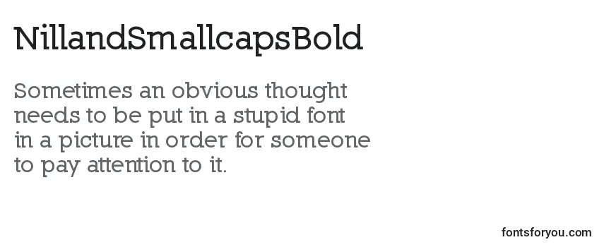 NillandSmallcapsBold Font