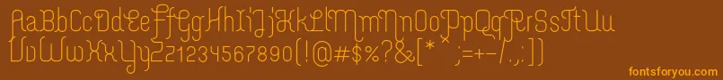 MerijntjeRegular Font – Orange Fonts on Brown Background