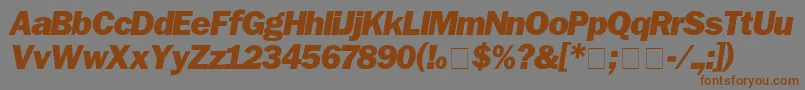 FranklinGothicBlackitalic Font – Brown Fonts on Gray Background