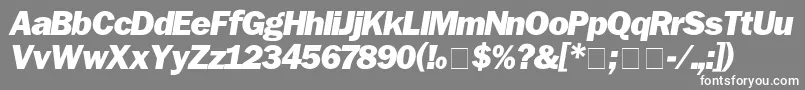 FranklinGothicBlackitalic-Schriftart – Weiße Schriften auf grauem Hintergrund