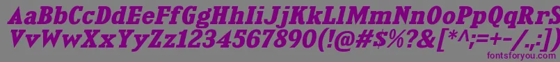 フォントKingsbridgeExBdIt – 紫色のフォント、灰色の背景