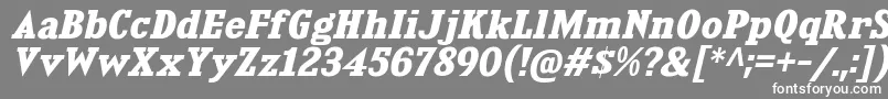 フォントKingsbridgeExBdIt – 灰色の背景に白い文字