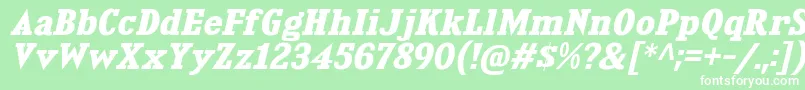 KingsbridgeExBdIt Font – White Fonts on Green Background