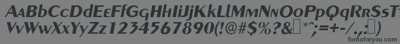 フォントGreyhoundBolditalic – 黒い文字の灰色の背景