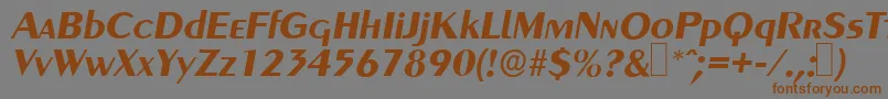 Czcionka GreyhoundBolditalic – brązowe czcionki na szarym tle