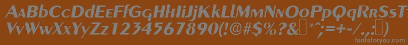 GreyhoundBolditalic-fontti – harmaat kirjasimet ruskealla taustalla
