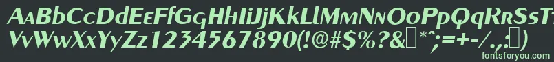 フォントGreyhoundBolditalic – 黒い背景に緑の文字