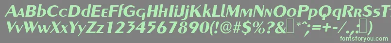 GreyhoundBolditalic Font – Green Fonts on Gray Background