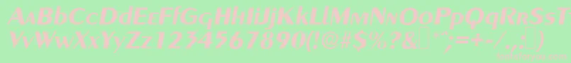 GreyhoundBolditalic Font – Pink Fonts on Green Background