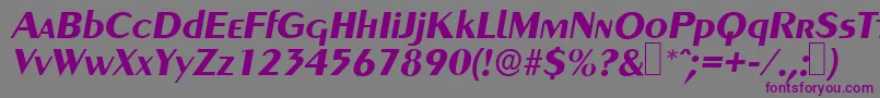 フォントGreyhoundBolditalic – 紫色のフォント、灰色の背景