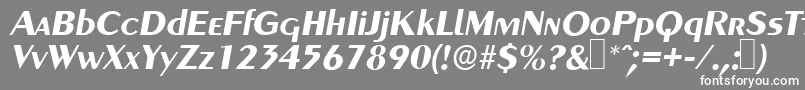 フォントGreyhoundBolditalic – 灰色の背景に白い文字